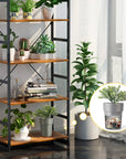 Discover the Ultimate Hidden Safe: Stylish Flower Pot Money Storage Box for Secure Stashing