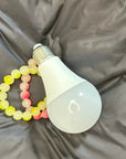 Discover the Ultimate Hiding Spot: Sight Secret Light Bulb Safe Container for Discreet Storage